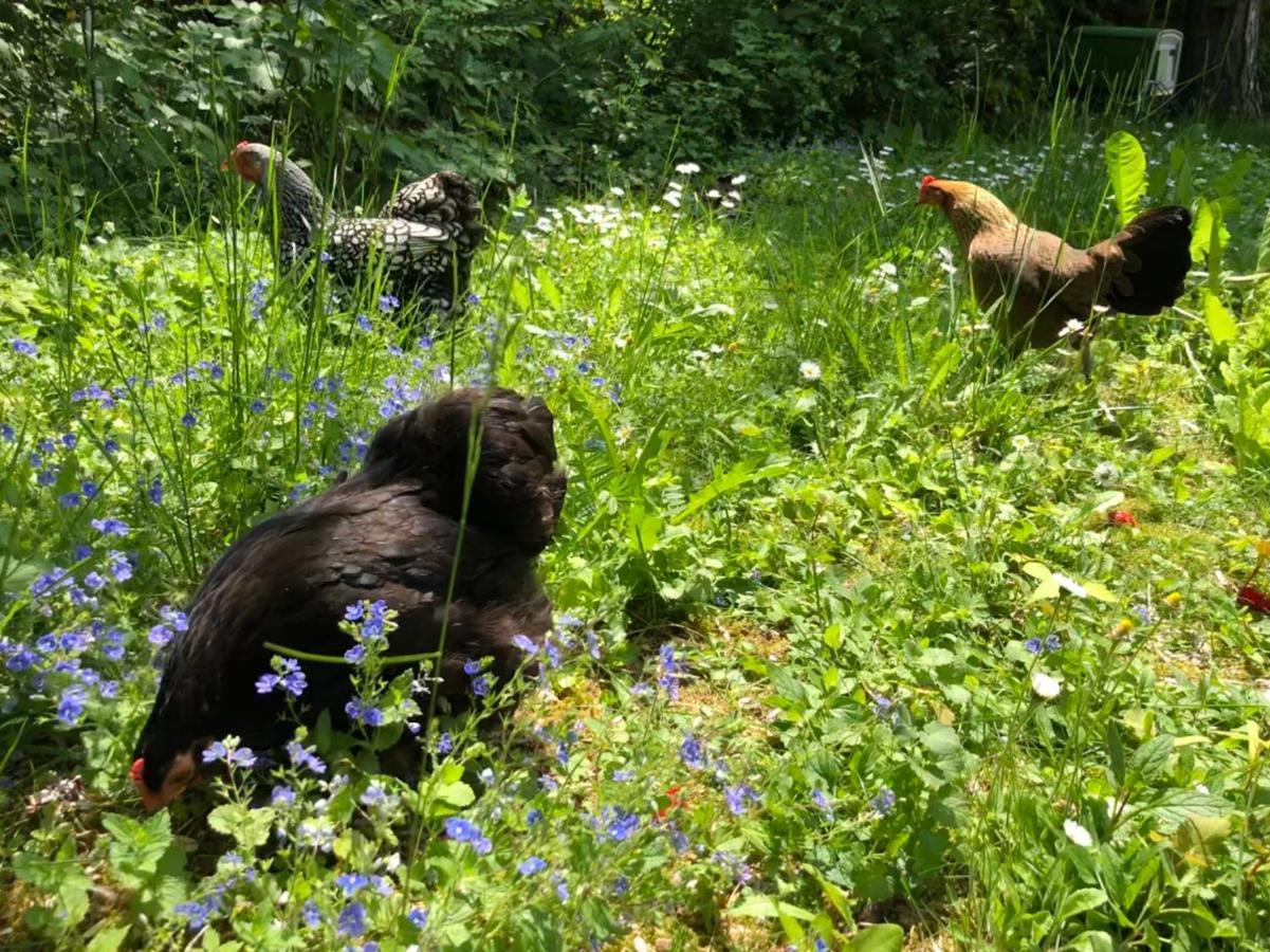 Le Jardin De Fresnes Bed & Breakfast エクステリア 写真