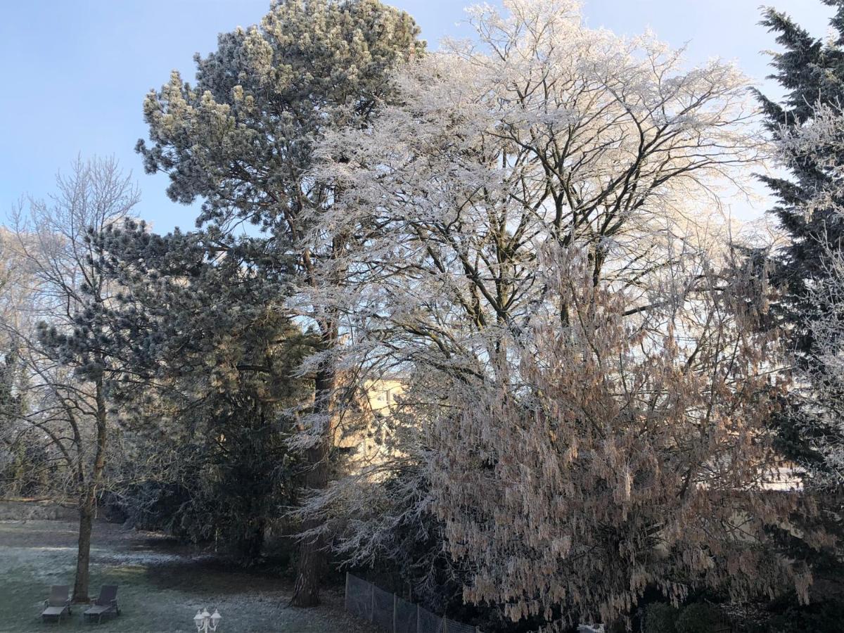 Le Jardin De Fresnes Bed & Breakfast エクステリア 写真
