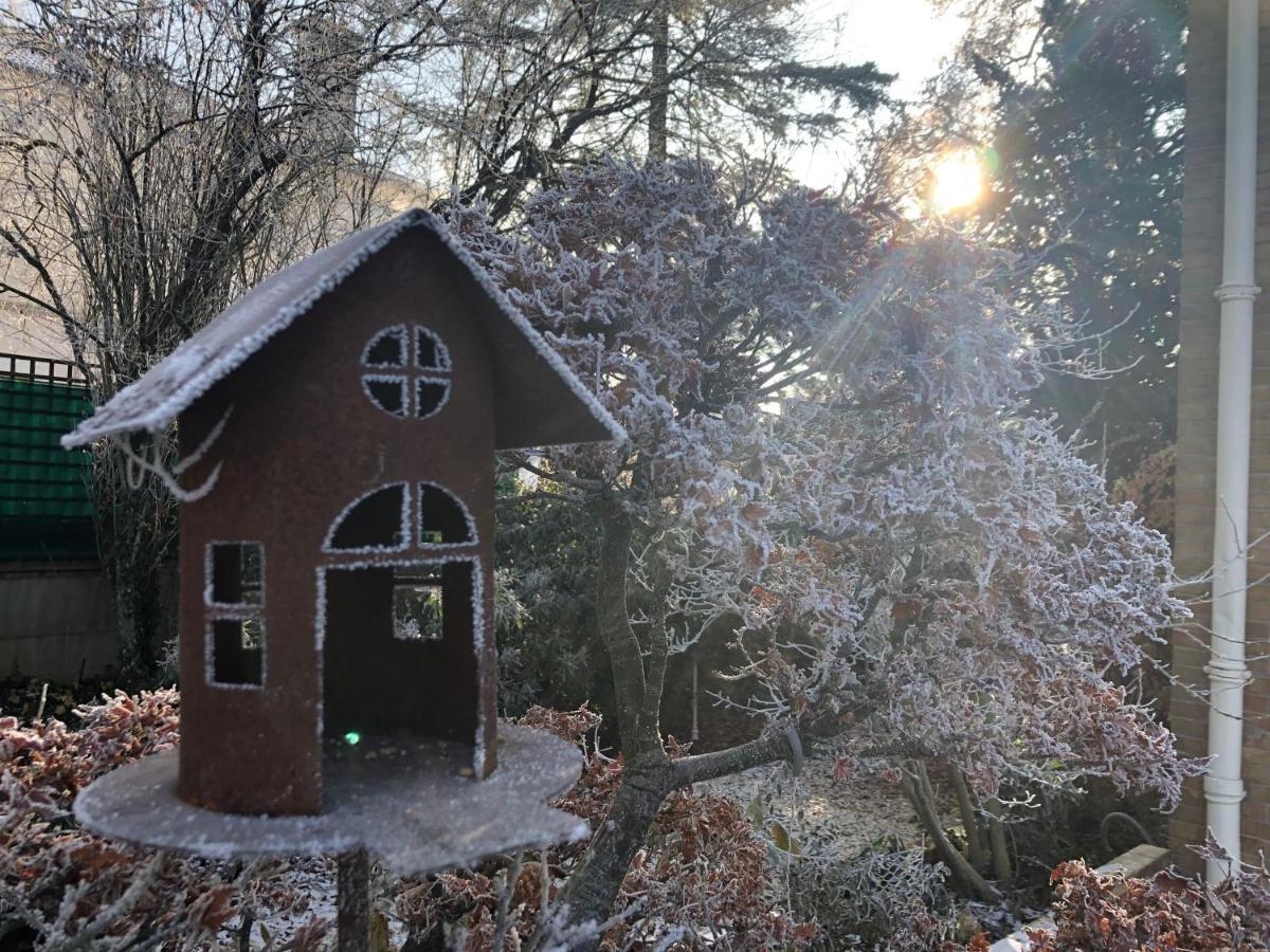 Le Jardin De Fresnes Bed & Breakfast エクステリア 写真